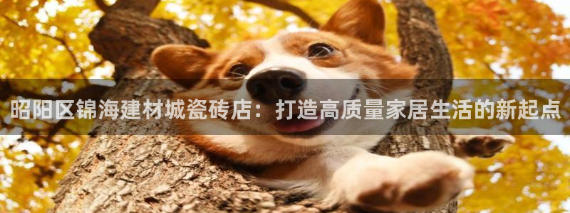 杏鑫平台代理注册多少钱啊