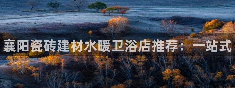 杏鑫平台在线注册流程