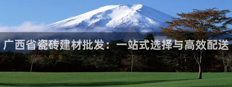 杏鑫官网注册账号