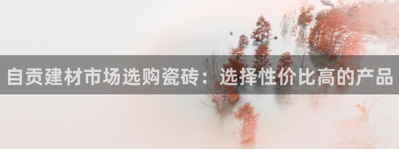 杏鑫主管