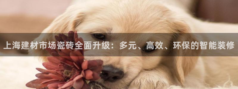 杏鑫平台列7O777
