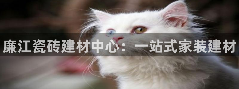 杏鑫平台代理注册多少钱