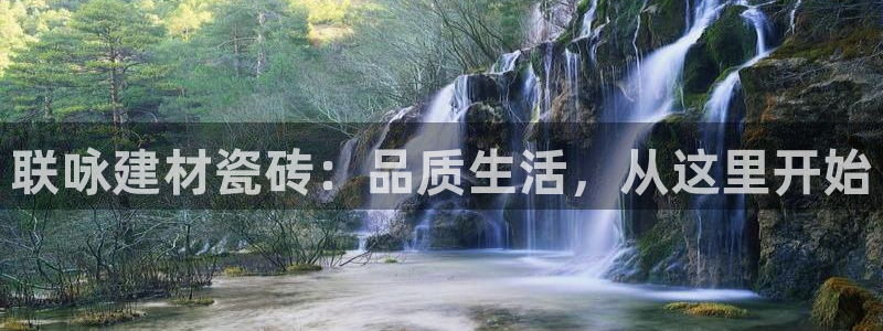 杏鑫有亏损返点吗
