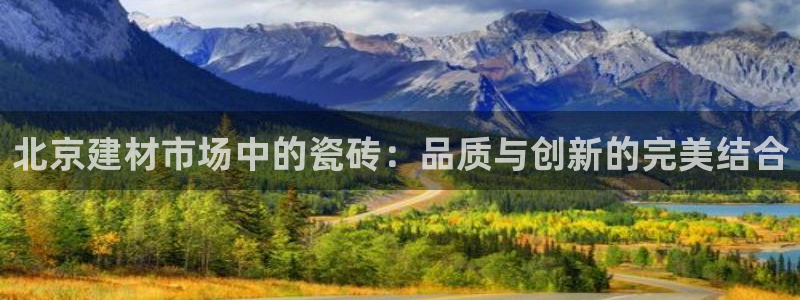 杏鑫代理注册资金多少