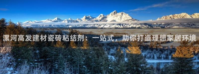 杏鑫平台注册入口在哪里找