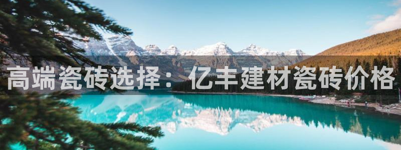 杏鑫官网注册账号怎么注册的