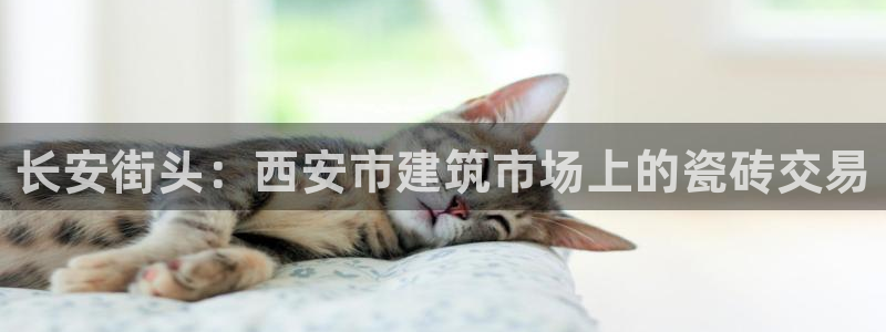 杏鑫平台代理注册登录不了怎么办呀苹果