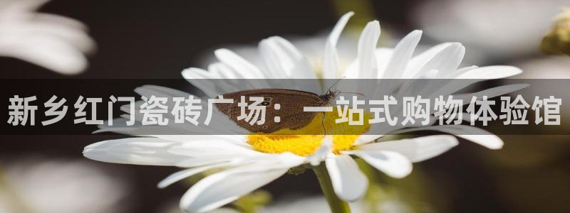 杏鑫官网注册账号怎么注册的