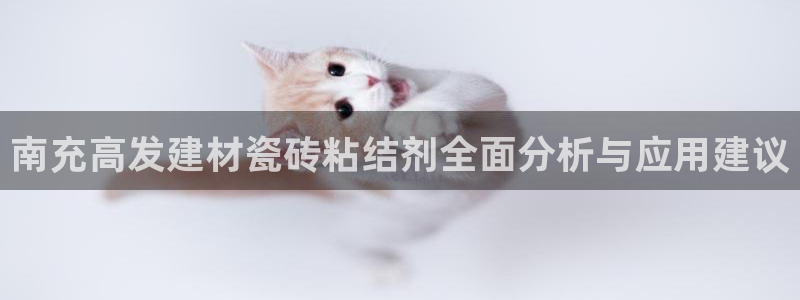 杏鑫官网注册账号