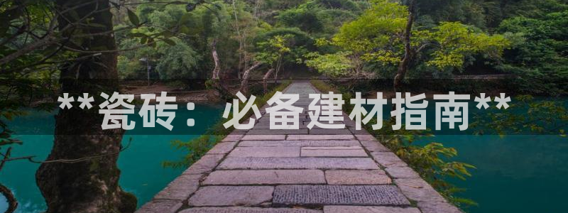 杏鑫平台代理注册流程视频