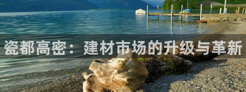 杏鑫平台注册网址