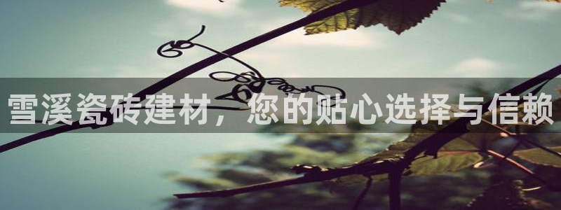 杏鑫平台代理注册要钱吗