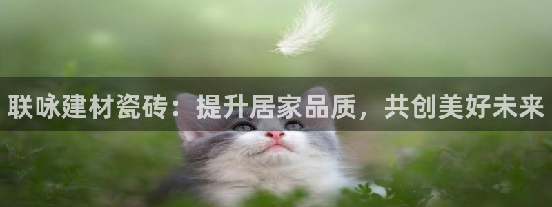 杏鑫官网注册账号怎么注册