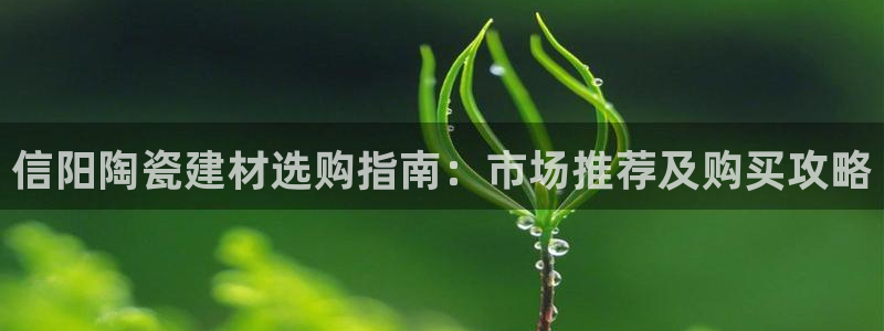 杏鑫注册平台官方网站是什么