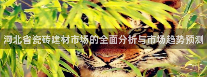杏鑫官方平台怎么样