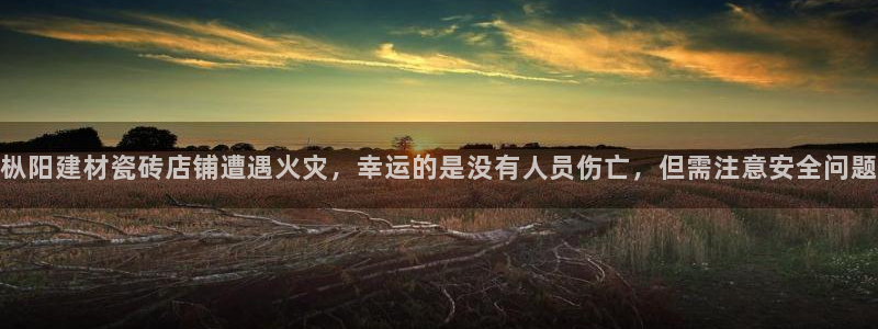 杏鑫平台注册入口在哪