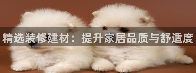 杏鑫注册登录平台是什么