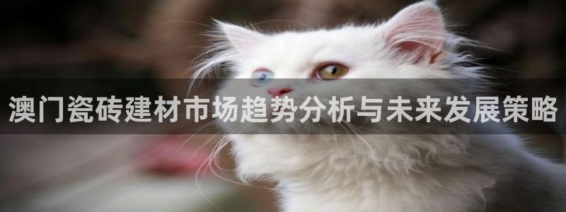 杏鑫平台代理注册流程及费用