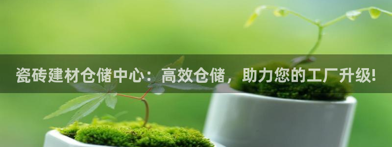 杏鑫平台登录地址是什么