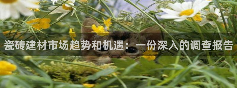 杏鑫官网注册账号密码