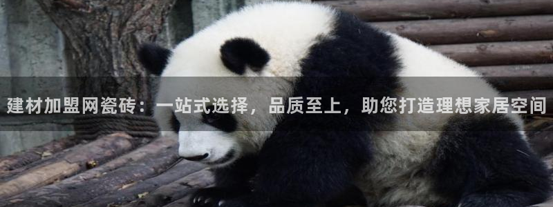 杏鑫娱乐平台登录注册网站