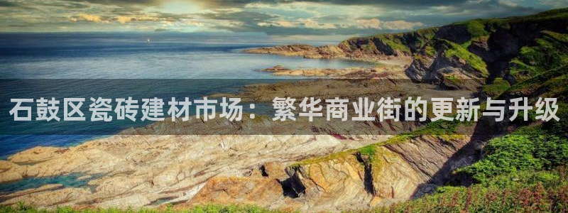 杏鑫代理注册资金多少