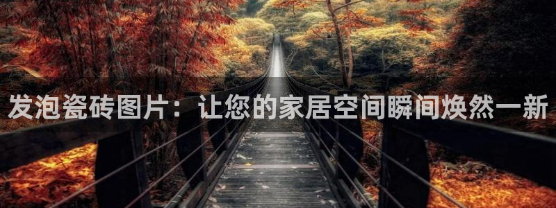 杏鑫平台注册网址是多少