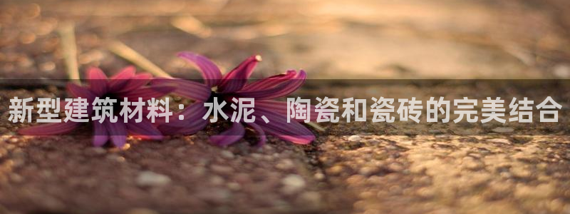 杏鑫平台注册入口在哪里找