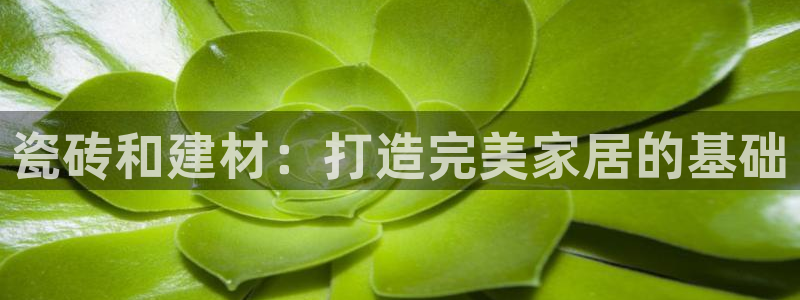 杏鑫注册登录代理