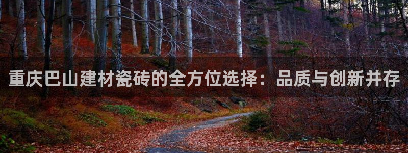 杏鑫官方app代理