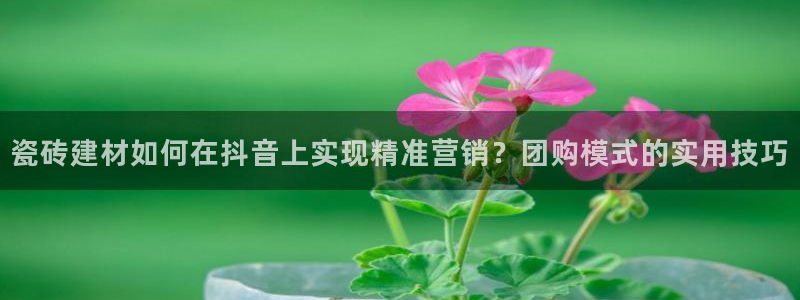 杏鑫平台招商电话号码查询