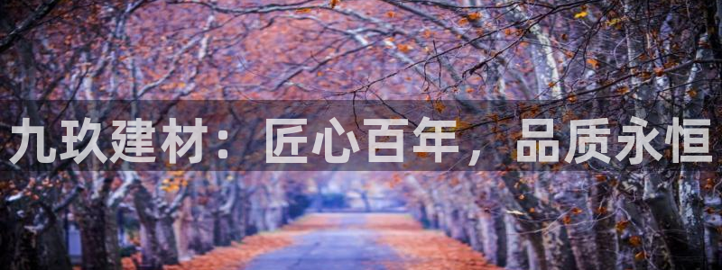 杏鑫官网注册账号密码是什么