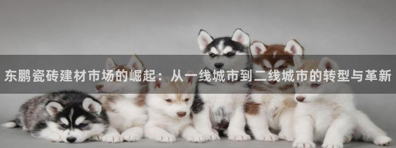 杏鑫手机客户端