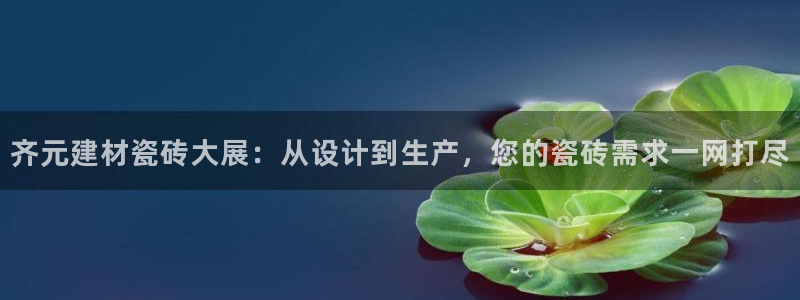 杏鑫平台代理注册流程图