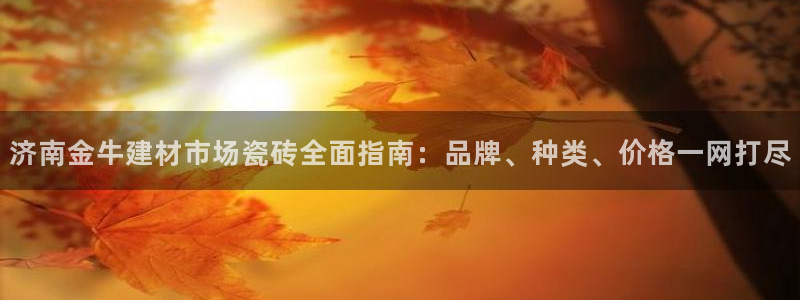 杏鑫注册登录代理公司