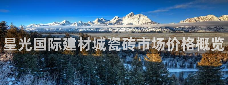 杏鑫娱乐怎么下