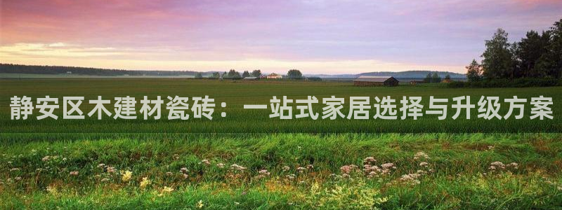 杏鑫平台代理注册流程