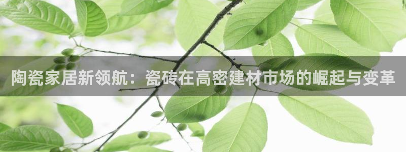 杏鑫官方平台怎么样啊知乎
