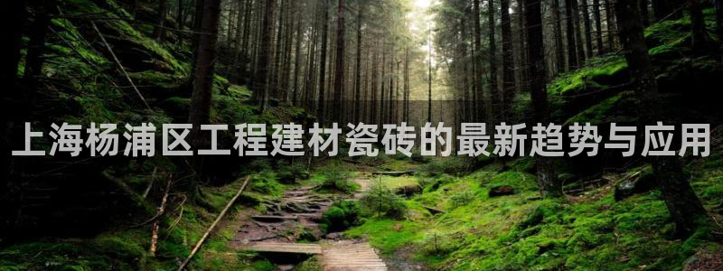 杏鑫主管