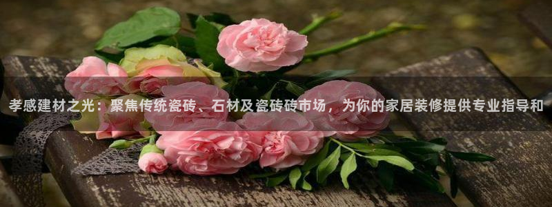 杏鑫平台代理注册流程视频
