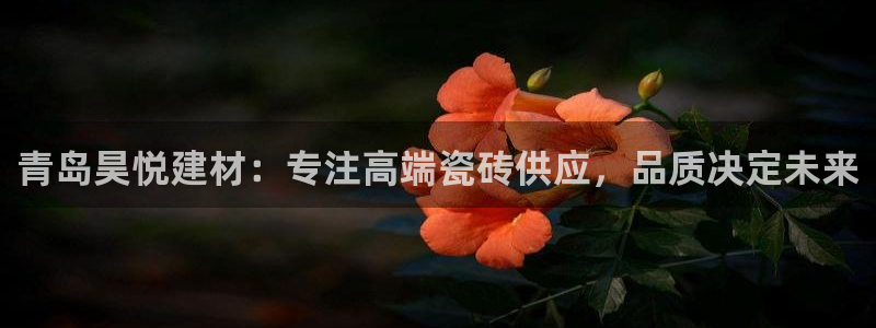 杏鑫有亏损返点吗