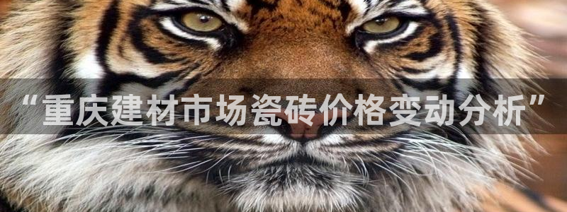 杏鑫平台怎么样黑钱吗是真的吗